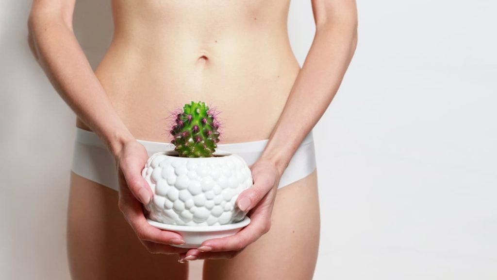 Best Wax Warmer for Hair Removal